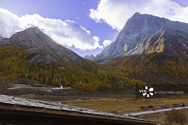 四川省甘孜藏族自治州，稻城亚丁洛绒牛场，彩林，雪山图片素材