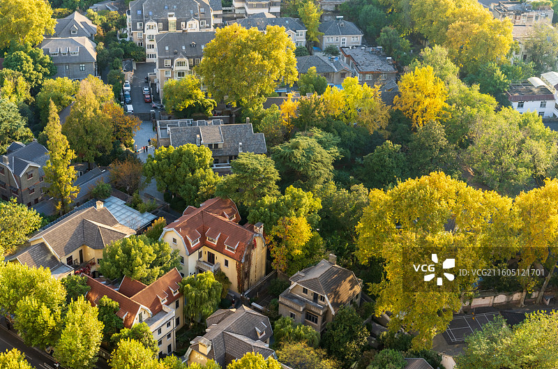 南京颐和路公馆区俯瞰图_深秋民国建筑与斑斓树木交织的空中景致图片素材