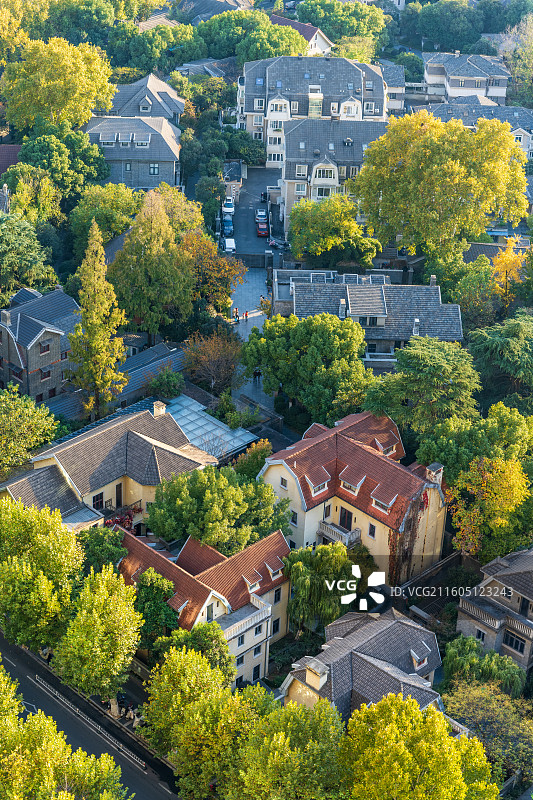 南京颐和路公馆区俯瞰图：秋天的色彩与民国建筑的完美融合图片素材