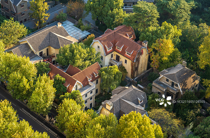 秋日航拍视角下的南京颐和路民国公馆区，梧桐金黄掩映古堡式建筑群图片素材