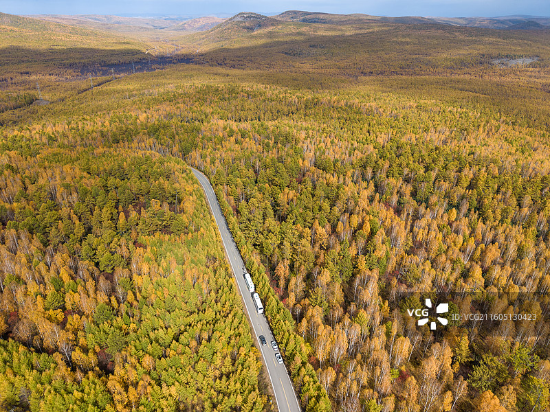 航拍秋景兴安落叶松下的公路，黄绿相间的松树，最美公路，秋摄，内蒙古呼伦贝尔图片素材