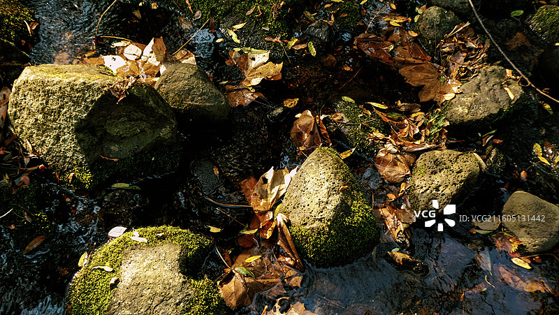 淮安文旅盱眙铁山寺国家森林公园溪流密布初冬落叶散落随波漂流多视角组图图片素材