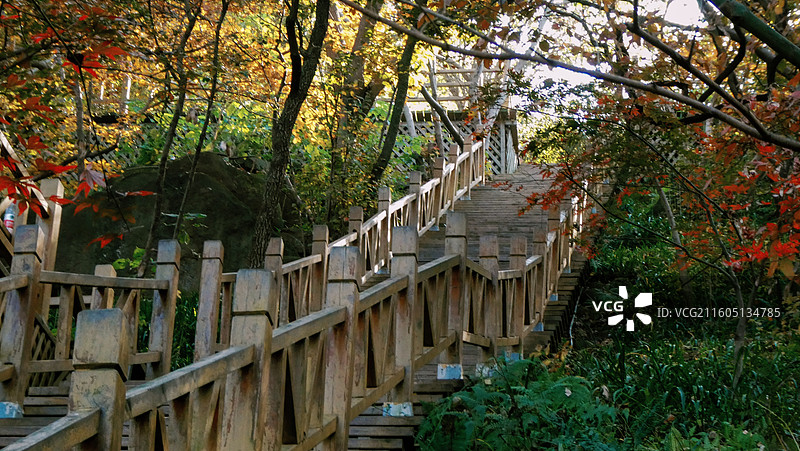 淮安文旅盱眙铁山寺国家森林公园各处石木梯桥不仅为游客提供了便利也成为了园内景观造物的一部分图片素材