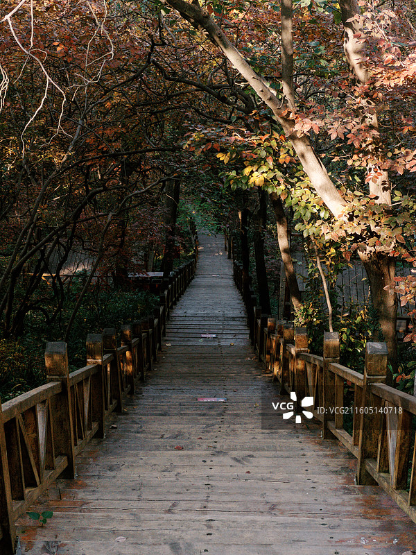 淮安文旅盱眙铁山寺国家森林公园各处石木梯桥不仅为游客提供了便利也成为了园内景观造物的一部分图片素材