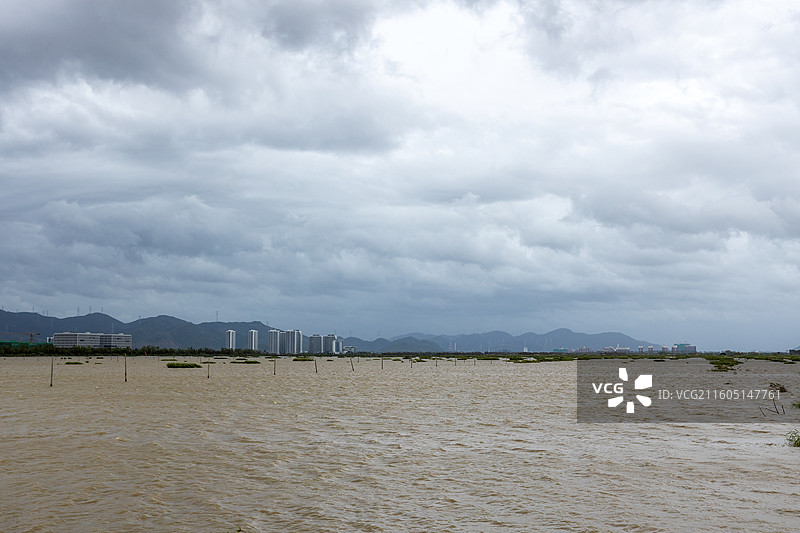 广东省江门市滨海新区银湖玩湿地公园风光图片素材