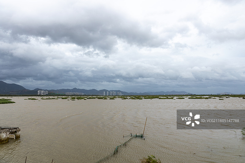 广东省江门市滨海新区银湖玩湿地公园风光图片素材