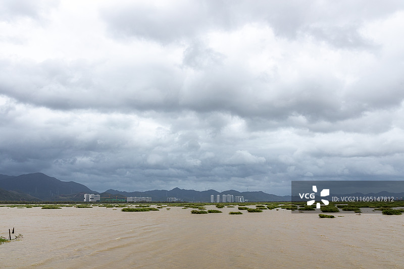 广东省江门市滨海新区银湖玩湿地公园风光图片素材
