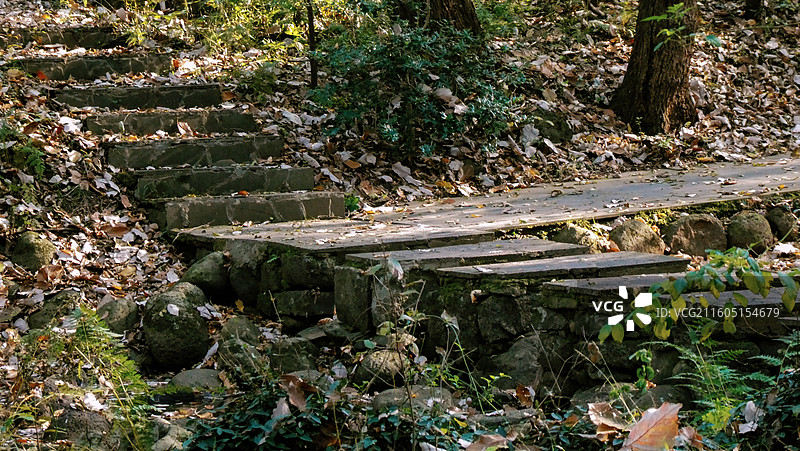 淮安文旅盱眙铁山寺国家森林公园各处石木梯桥不仅为游客提供了便利也成为了园内景观造物的一部分图片素材