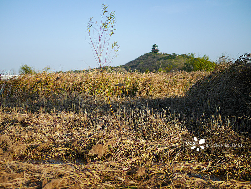 淄博初冬季节唯美的文昌湖景区景观图片素材