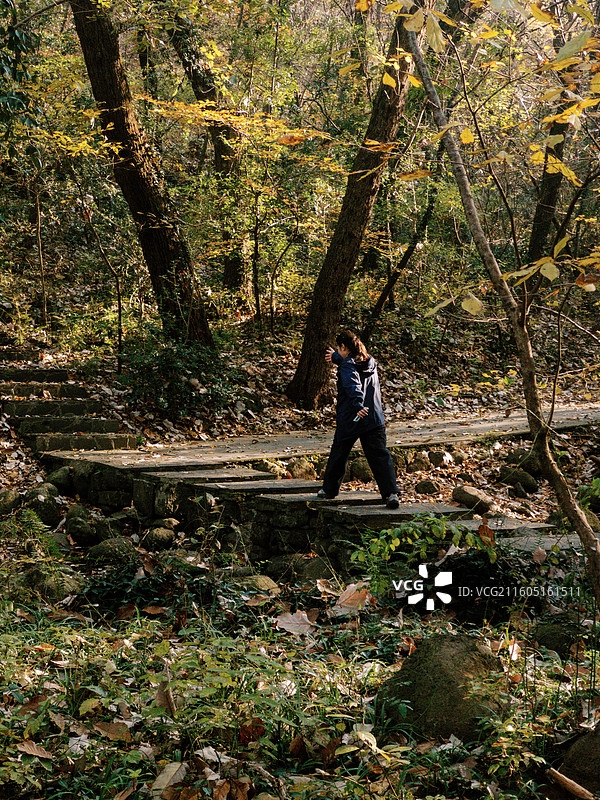 淮安文旅盱眙铁山寺国家森林公园各处石木梯桥不仅为游客提供了便利也成为了园内景观造物的一部分图片素材