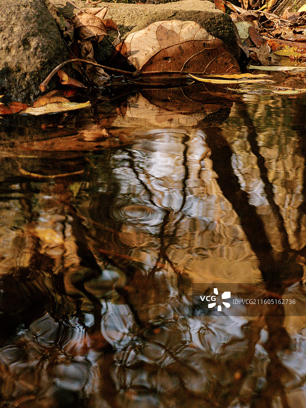 淮安文旅盱眙铁山寺国家森林公园十一月初冬溪流纹理或森林倒影多视角组图图片素材
