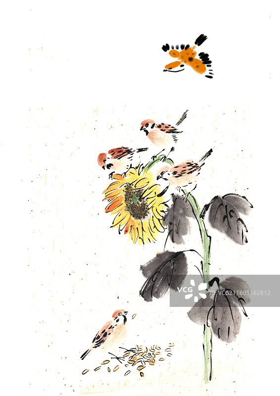 中国风 手绘 水墨 插画 向日葵 瓜子 麻雀图片素材