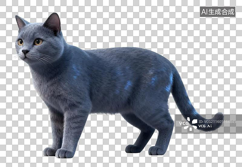 【AI数字艺术】蓝猫站立正面照图片素材