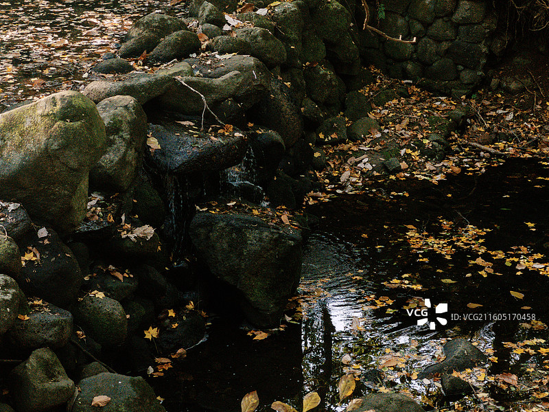 淮安文旅盱眙铁山寺国家森林公园溪流密布初冬落叶散落随波漂流多视角组图图片素材