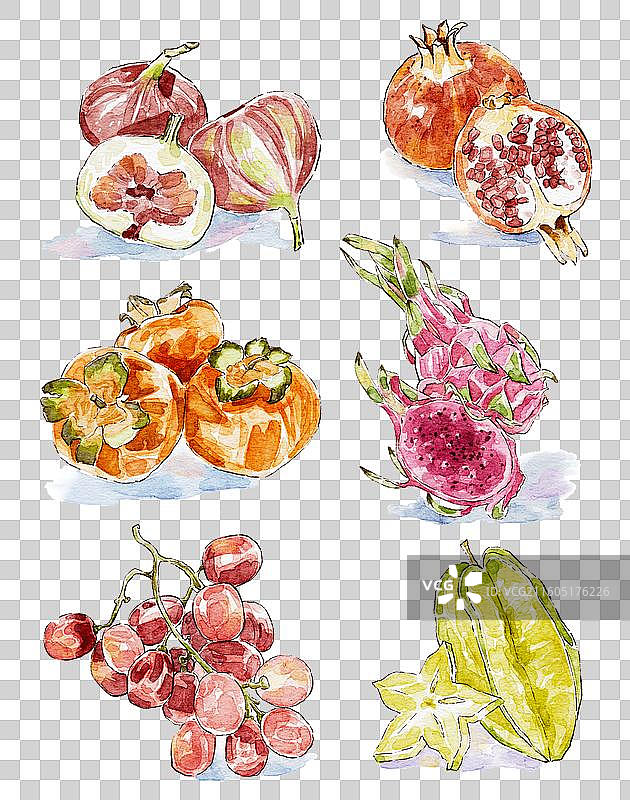 手绘水彩风无花果石榴柿子火龙果图片素材