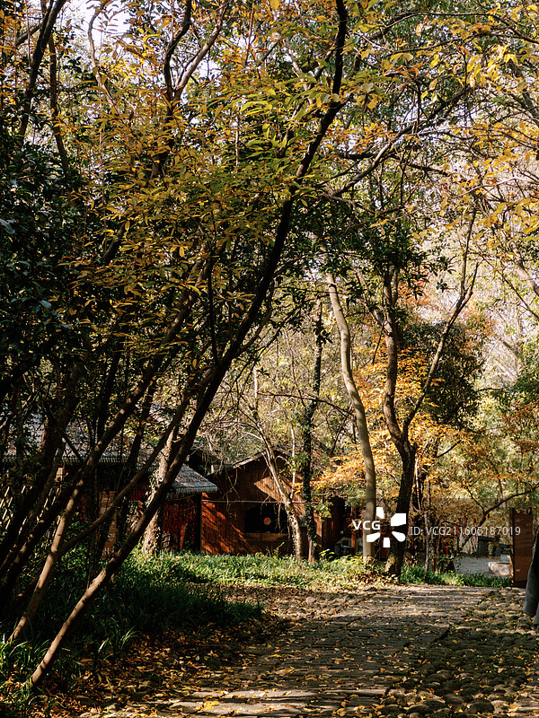 淮安文旅盱眙铁山寺国家森林公园孔雀园内外的小木屋充满冬日童话气息多视角组图图片素材