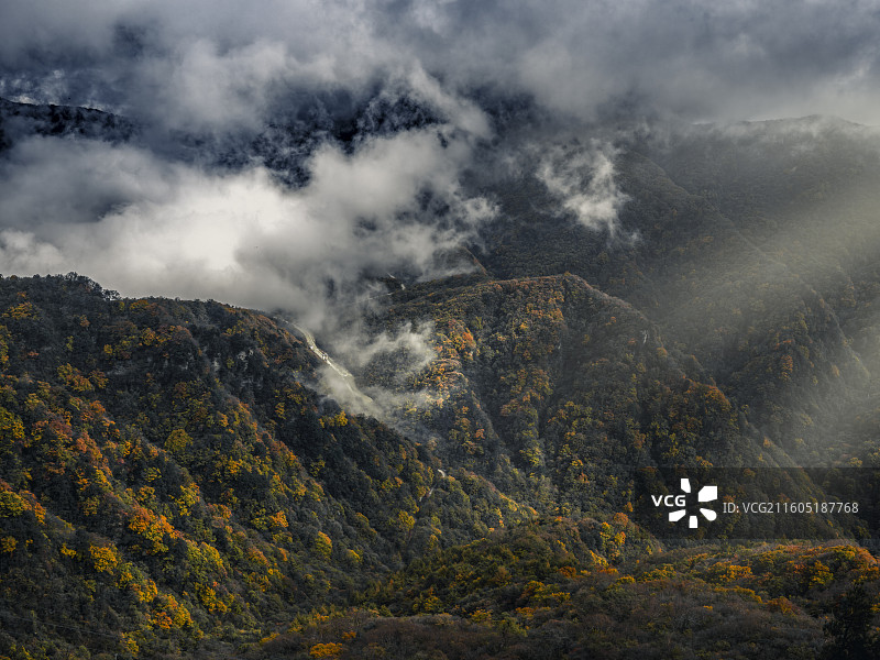 米仓山香炉峰层林尽染的秋色图片素材