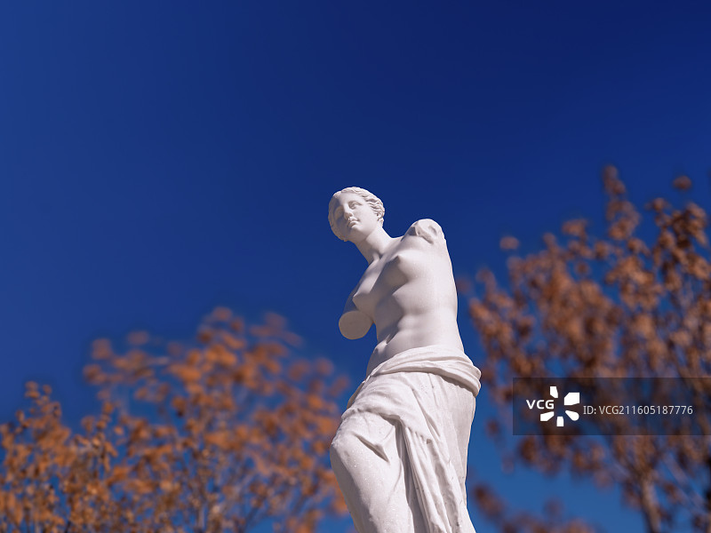 维纳斯雕像图片素材