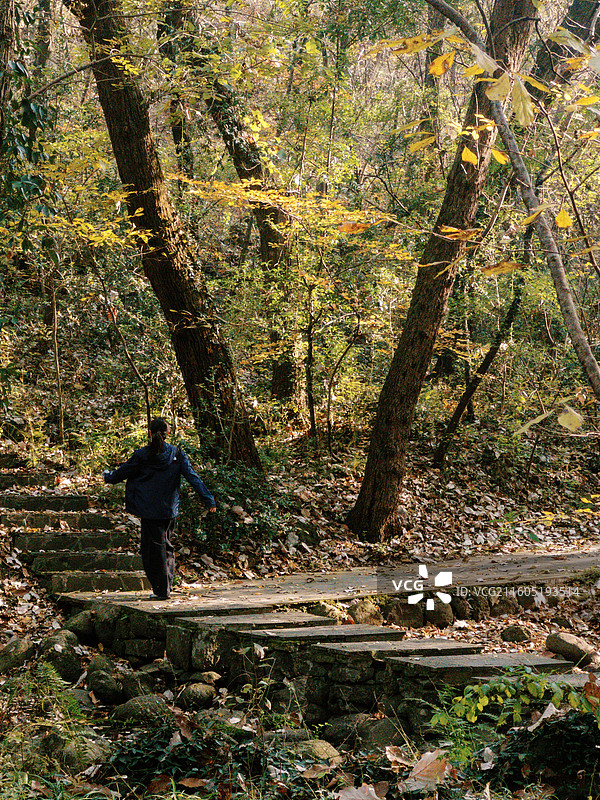 淮安文旅盱眙铁山寺国家森林公园各处石木梯桥不仅为游客提供了便利也成为了园内景观造物的一部分图片素材