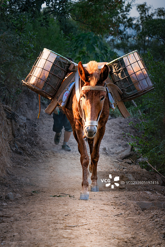 乡村纪实 户外运输场景图片素材