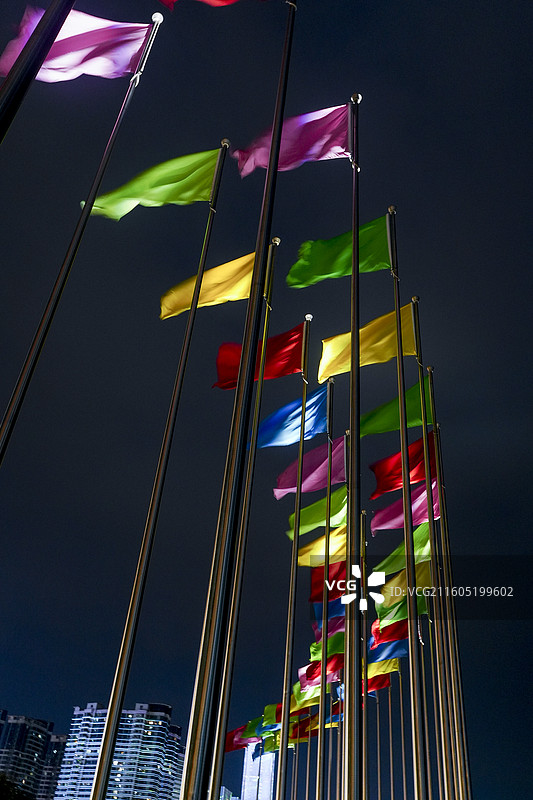 湖北省宜昌市，夷陵长江大桥，磨基山森林公园，长江一号，长江，长江夜景，夷陵长江大桥夜景，邮轮，客船，图片素材