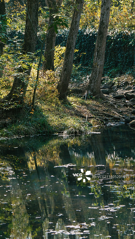 淮安文旅盱眙铁山寺国家森林公园十一月初冬溪流纹理或森林倒影多视角组图图片素材