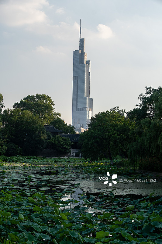 南京玄武湖公园紫峰大厦落日图片素材