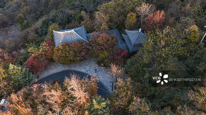 南京栖霞山红叶图片素材