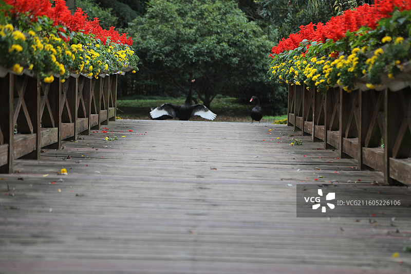 扬州市茱萸湾景区图片素材