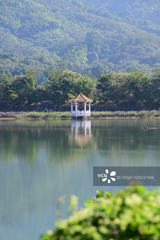 石马龙湿地公园图片素材