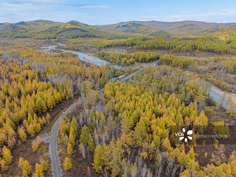 航拍莫尔道嘎国家森林公园，落叶松林海，兴安落叶松，秋景，内蒙古呼伦贝尔莫尔道嘎国家森林公园图片素材