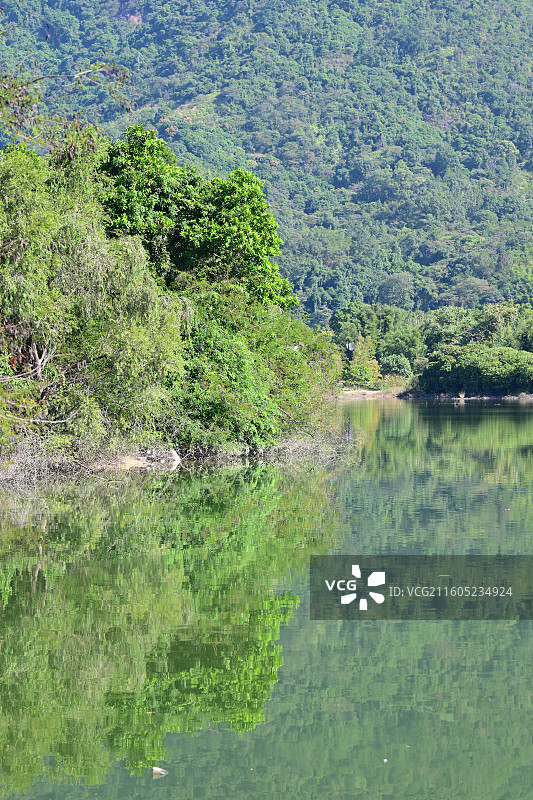 石马龙湿地公园图片素材