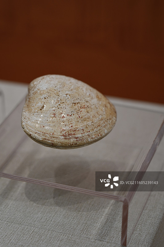 北朝·文蛤粉盒图片素材