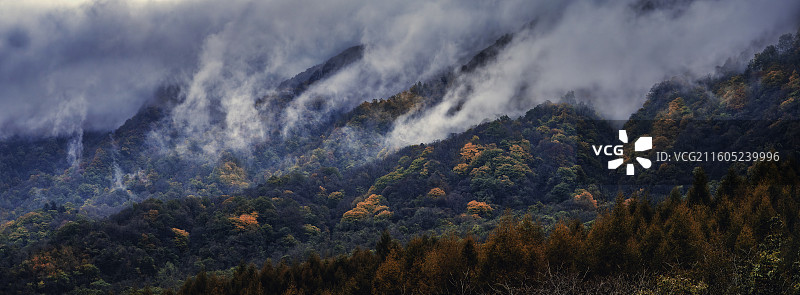 米仓山香炉峰层林尽染的秋色图片素材