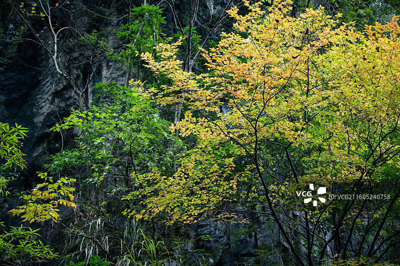 兴文石海  秋冬景观 四川宜宾图片素材