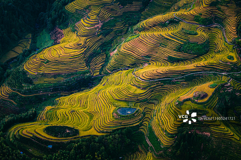 桂林龙胜各族龙脊梯田图片素材