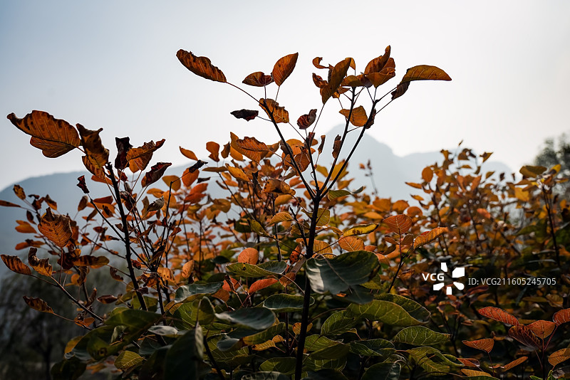 北京坡峰岭图片素材