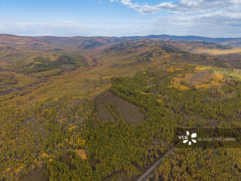 航拍莫尔道嘎国家森林公园，落叶松林海，兴安落叶松，秋景，内蒙古呼伦贝尔莫尔道嘎国家森林公园图片素材