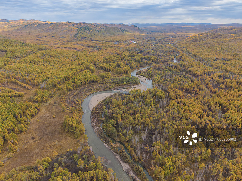 航拍莫尔道嘎国家森林公园，落叶松林海，兴安落叶松，秋景，内蒙古呼伦贝尔莫尔道嘎国家森林公园图片素材