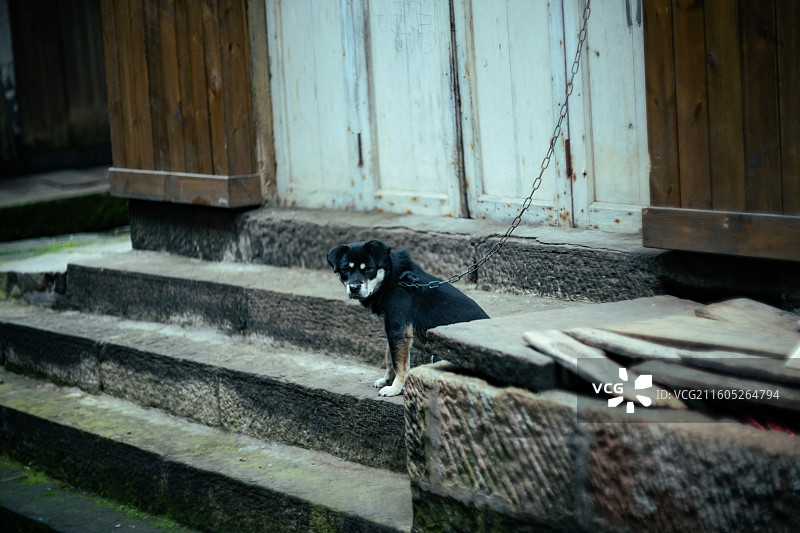 宜宾屏山 龙华古镇图片素材