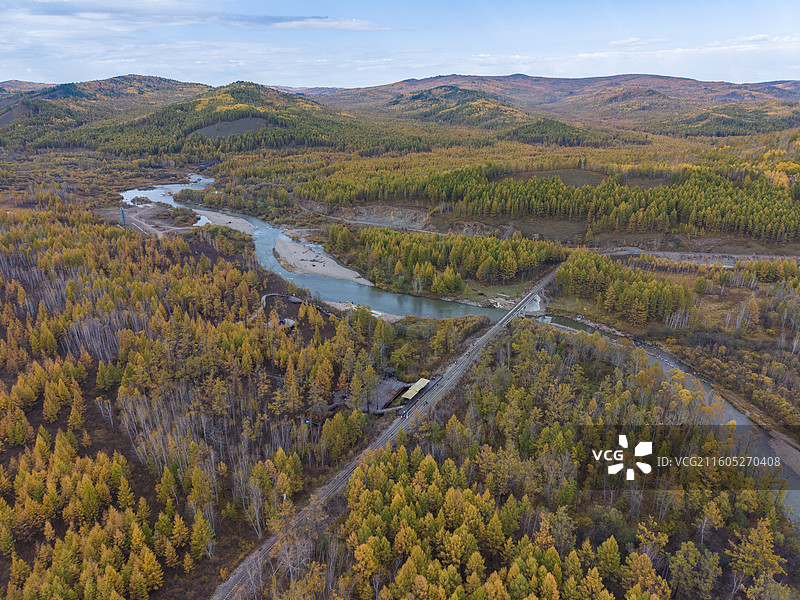 航拍莫尔道嘎国家森林公园，落叶松林海，兴安落叶松，秋景，内蒙古呼伦贝尔莫尔道嘎国家森林公园图片素材