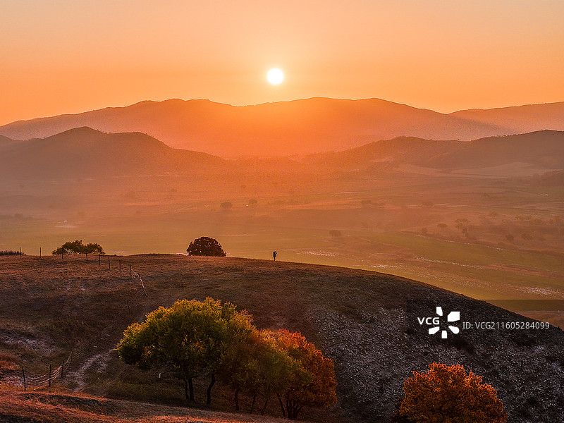 旷野孤树朝霞意境图图片素材