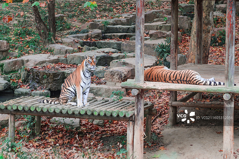 扬州市茱萸湾景区图片素材