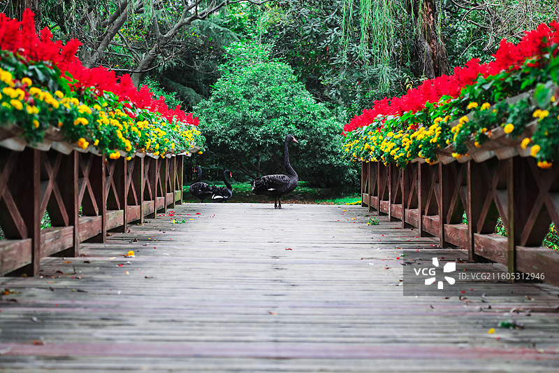 扬州市茱萸湾景区图片素材