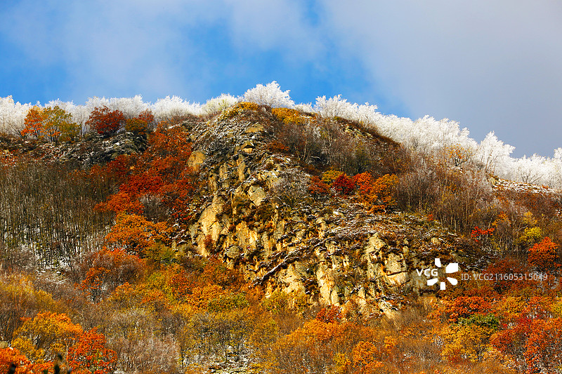 北京 喇叭沟门原始森林公园秋雪风光图片素材