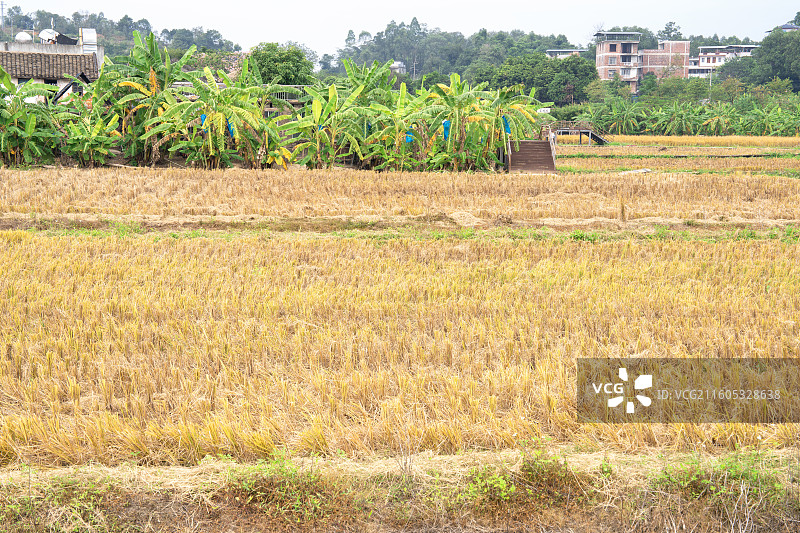 中国广西南宁市江南区江西镇三江坡宋村古建筑群美丽风景图片素材