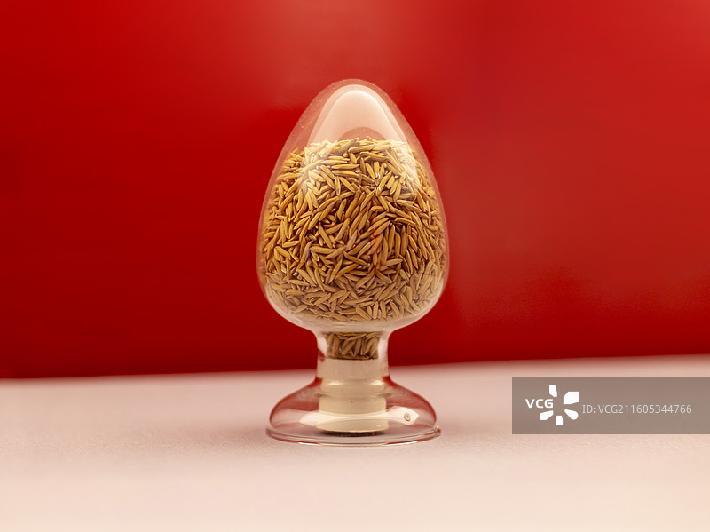 航天育种 中国国家博物馆图片素材