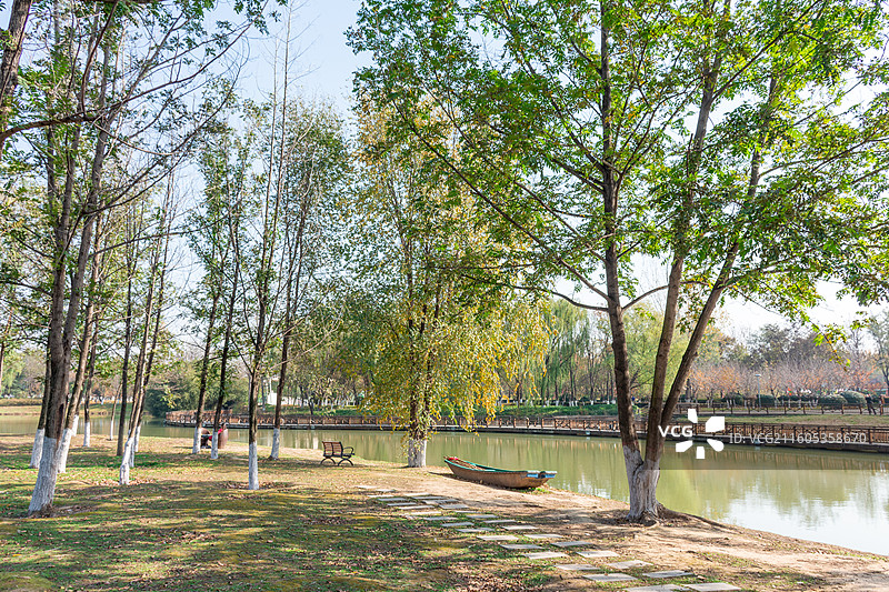 西安浐灞国家湿地公园 柳树风光图片素材