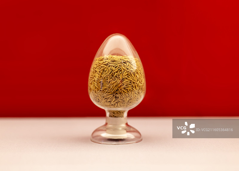 航天育种 中国国家博物馆图片素材