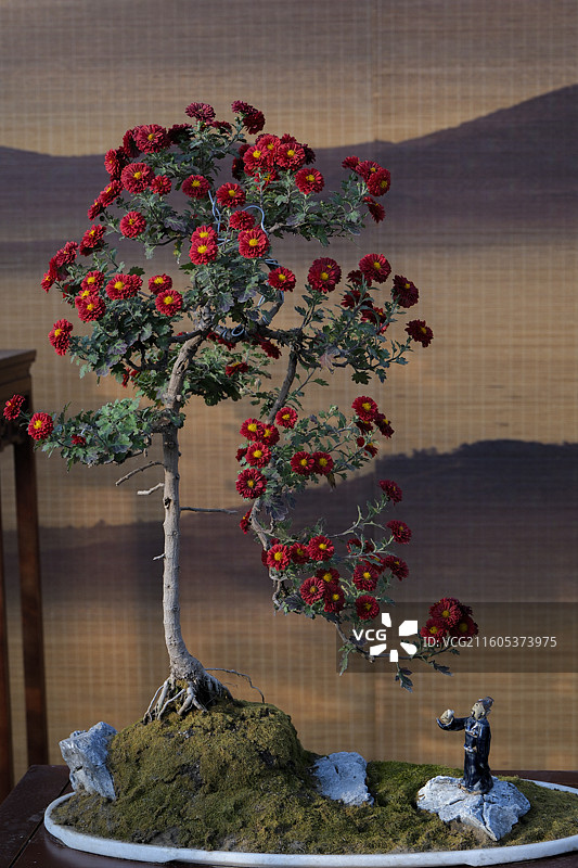 北京天坛菊花节图片素材